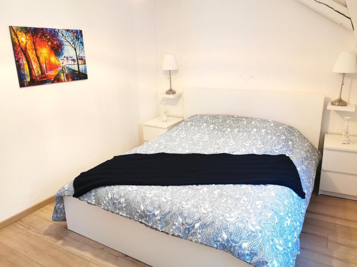Petite Venise Grand Duplex Turenne Hyper Centre コルマール エクステリア 写真