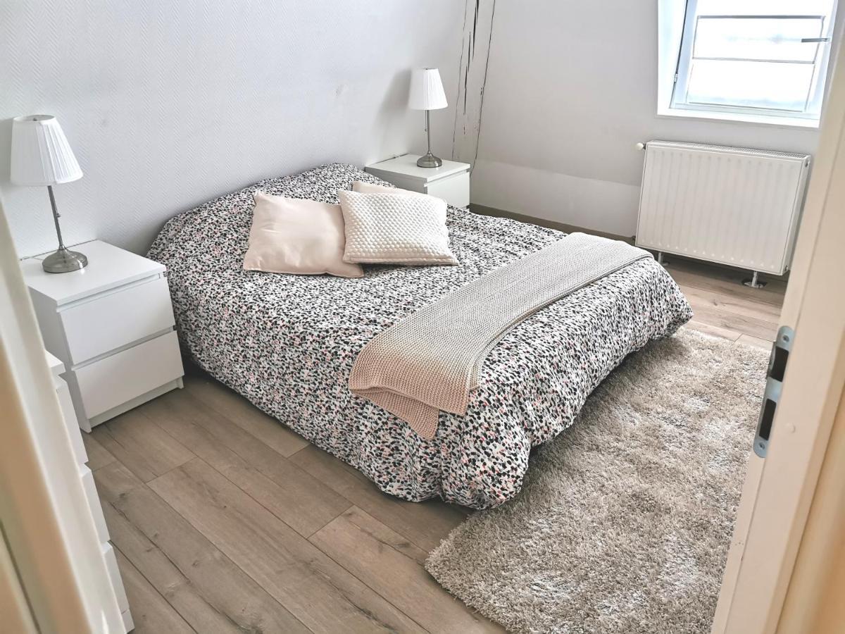 Petite Venise Grand Duplex Turenne Hyper Centre コルマール エクステリア 写真
