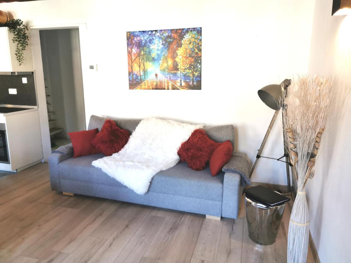 Petite Venise Grand Duplex Turenne Hyper Centre コルマール エクステリア 写真