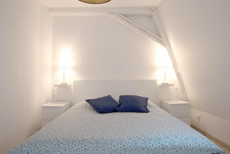 Petite Venise Grand Duplex Turenne Hyper Centre コルマール エクステリア 写真