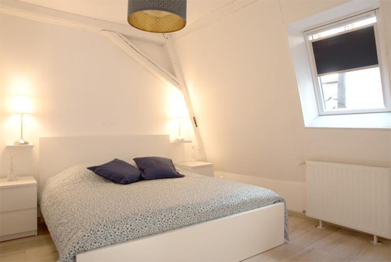 Petite Venise Grand Duplex Turenne Hyper Centre コルマール エクステリア 写真